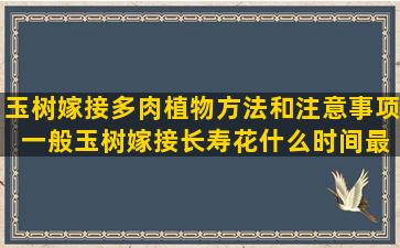 玉树嫁接多肉植物方法和注意事项 一般玉树嫁接长寿花什么时间最好